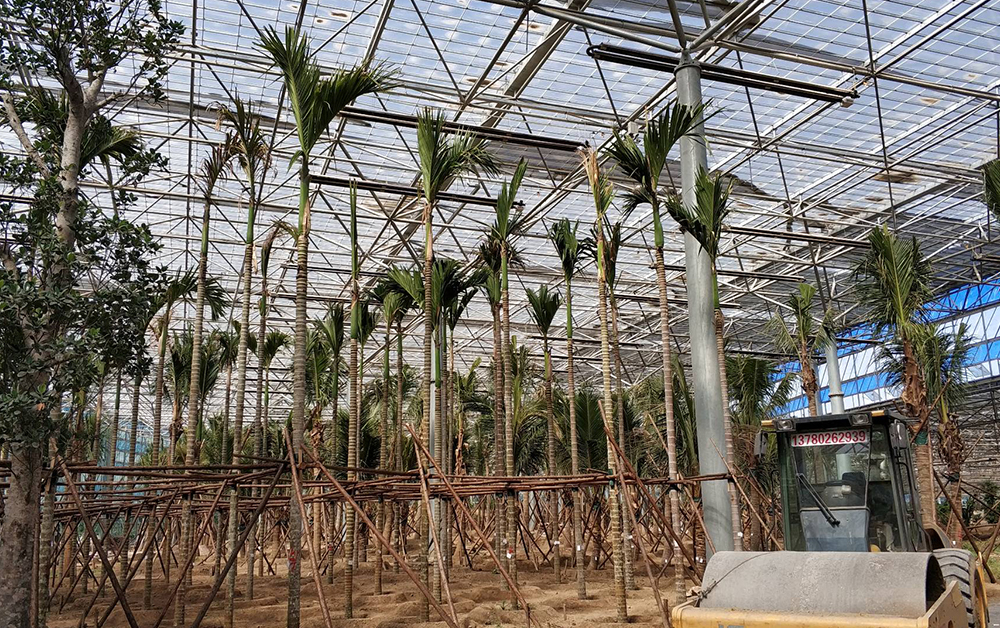 北方熱帶植物園燃?xì)廨椛洳膳到y(tǒng)